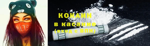 прущие крисы Верея