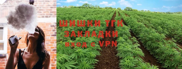 ешки Верхний Тагил