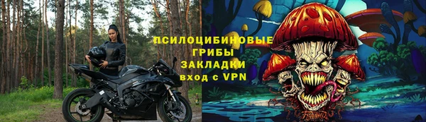 ешки Верхний Тагил