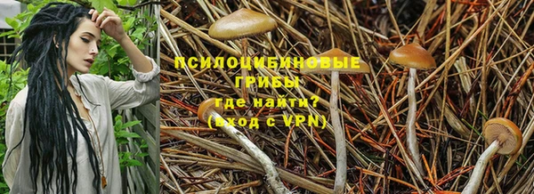 прущие крисы Верея