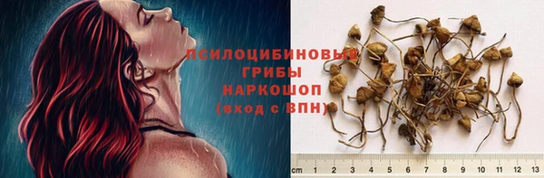 стафф Верхнеуральск